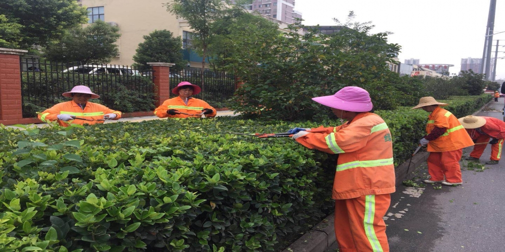 新站區(qū)道路清掃保潔、綠化管養(yǎng)項(xiàng)目
